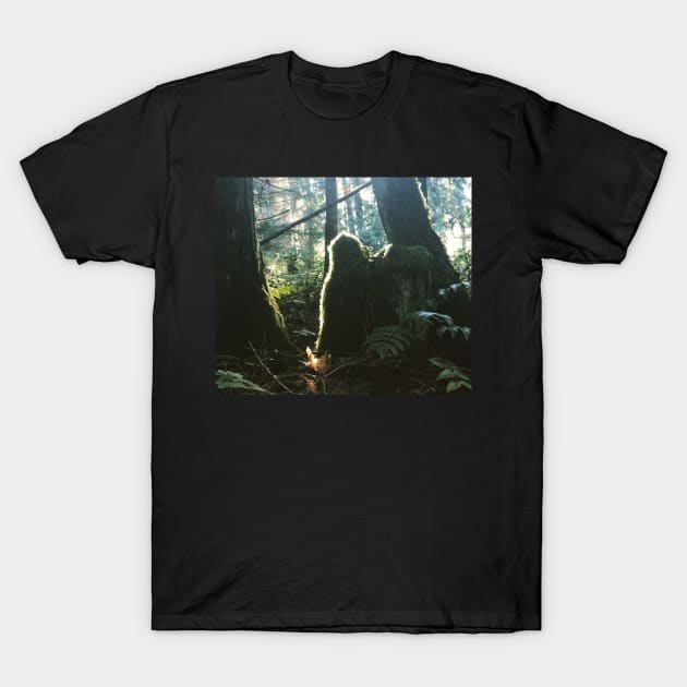 Green Man of Gabriola Spying on me… T-Shirt by drumweaver